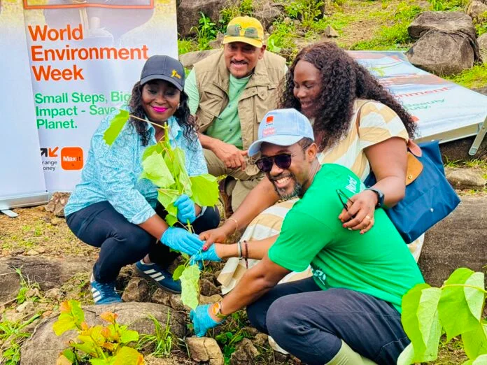 Orange Sierra Leone and Tacugama Plant 5,000 Trees for World ...