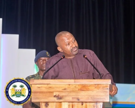 Sierra Leone Launches National Strategy for Critical Minerals to Drive Transformation